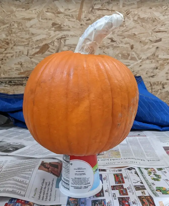 covered the pumpkin stem with tape