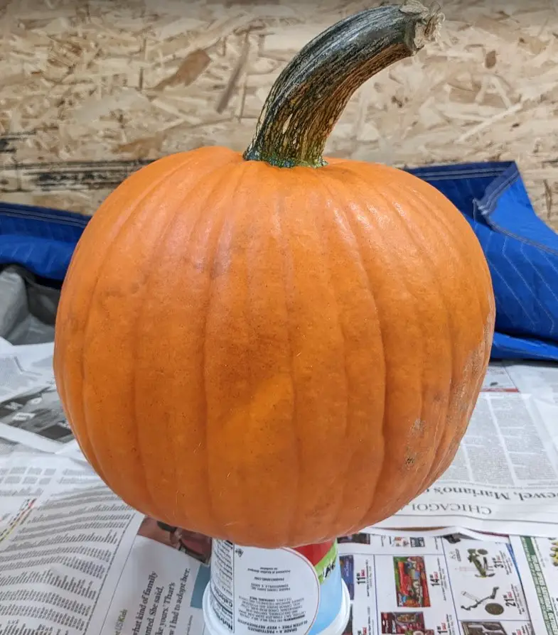 pumpkin and cottage cheese