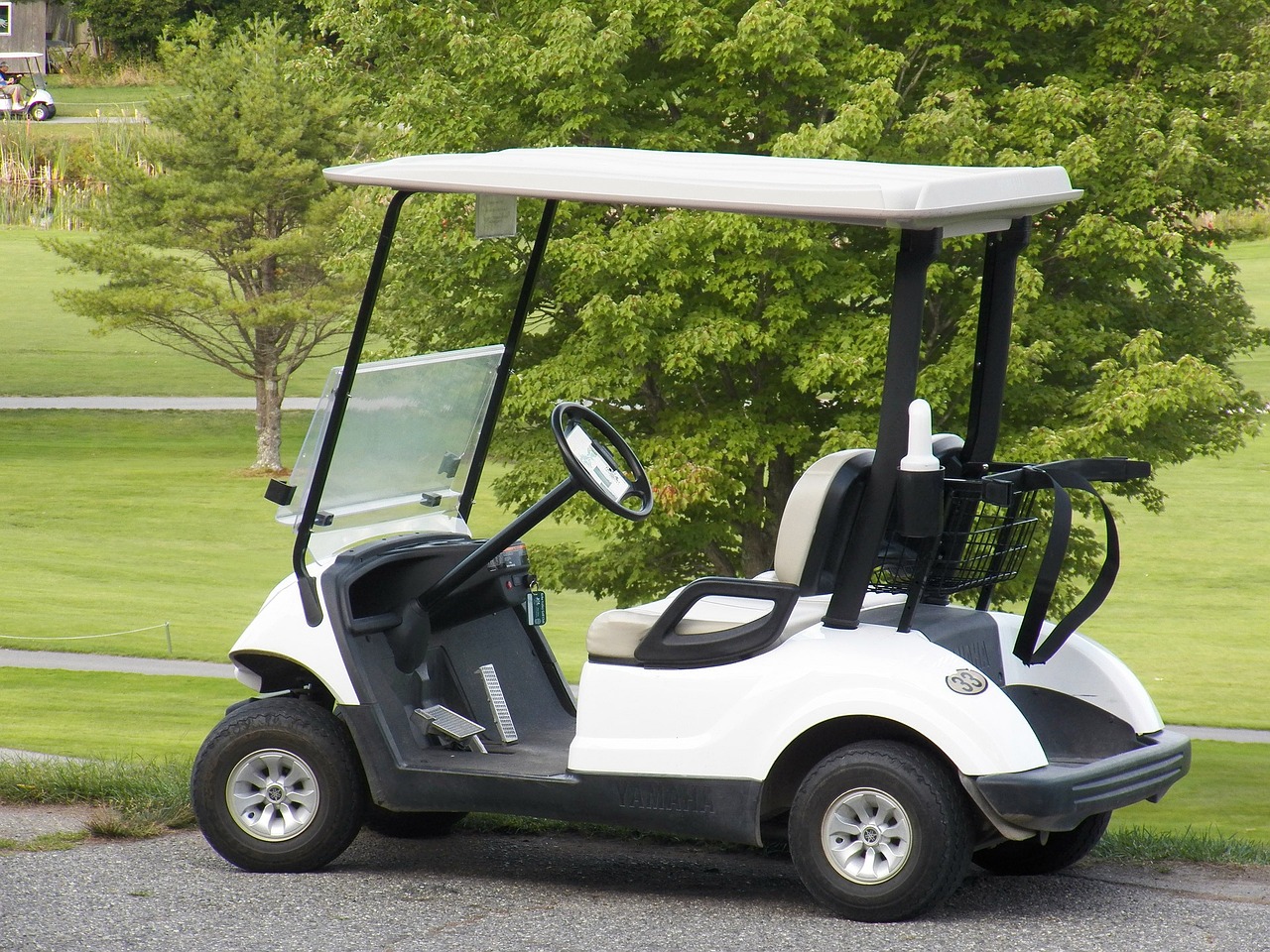 How-Much-Do-New-Golf-Carts-Cost